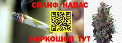 тгк Краснодар