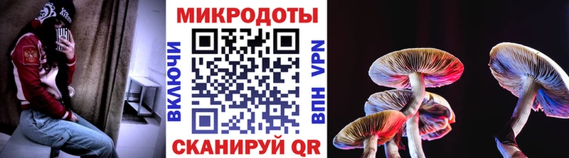 дарк нет как зайти Котовск Галлюциногенные грибы Magic Shrooms