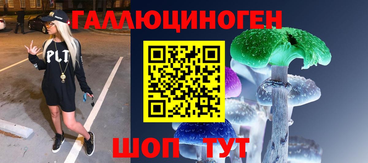 Галлюциногенные грибы Psilocybe Котовск