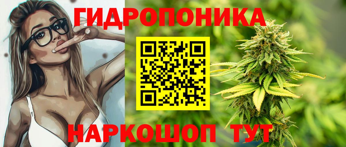 Шишки марихуана индика  Бошки Шишки OG Kush  Котовск  Вход с VPN  Конопля White Widow 